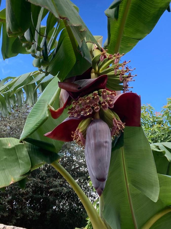 مبيت وإفطار Salir de Matos Quinta Da Sobreira المظهر الخارجي الصورة
